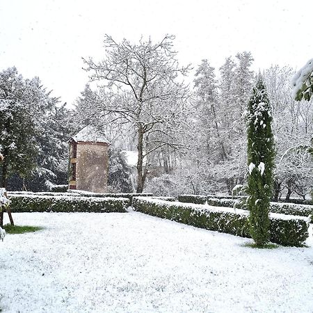 Chateau De Bonneau Suèvres Esterno foto