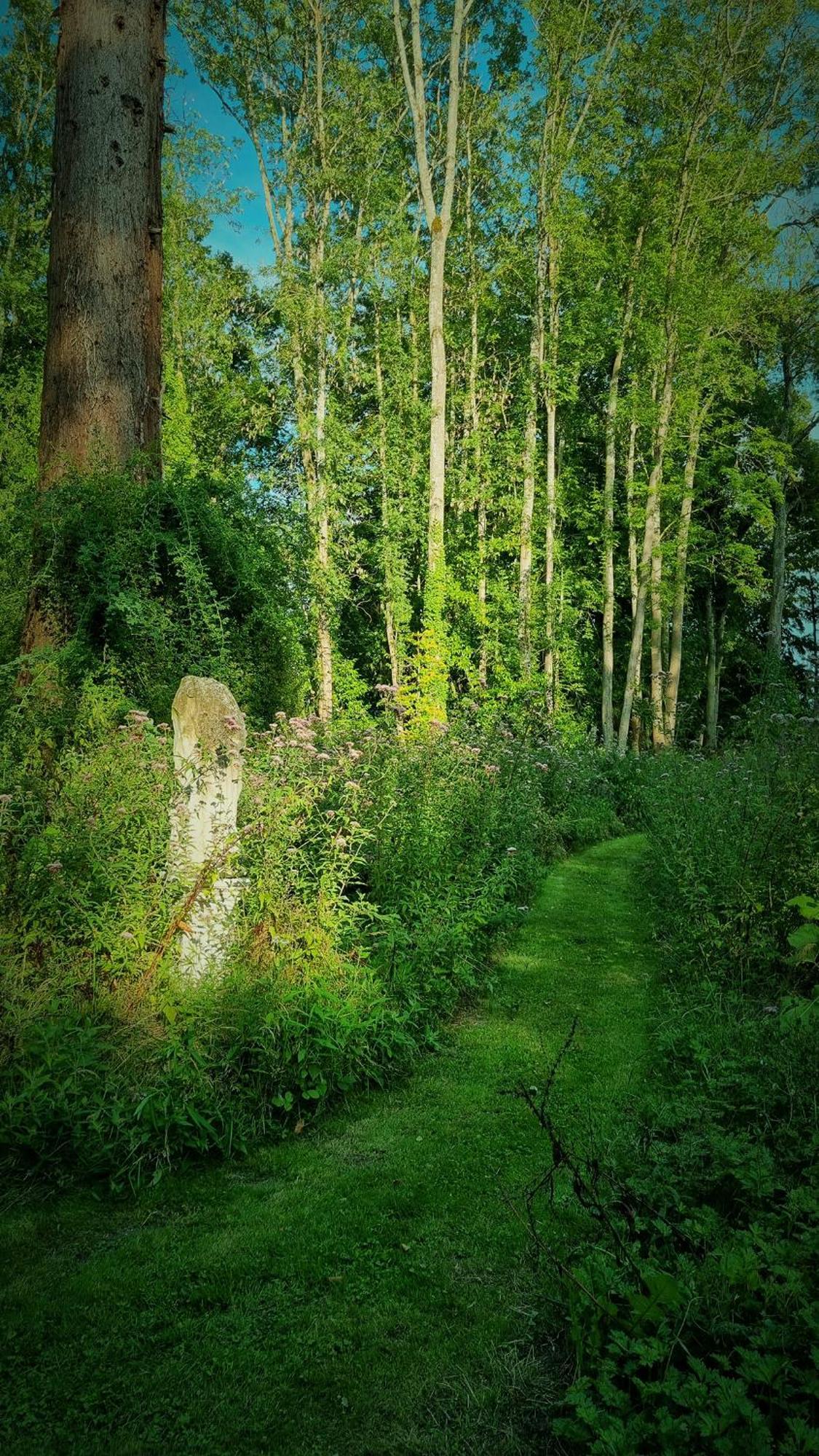 Chateau De Bonneau Suèvres Esterno foto