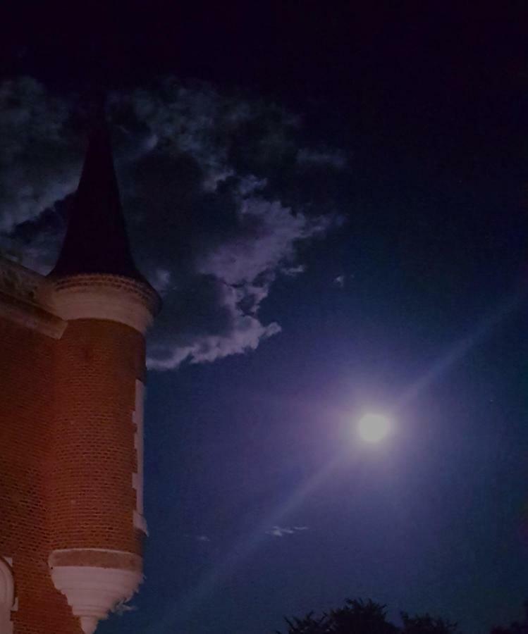Chateau De Bonneau Suèvres Esterno foto