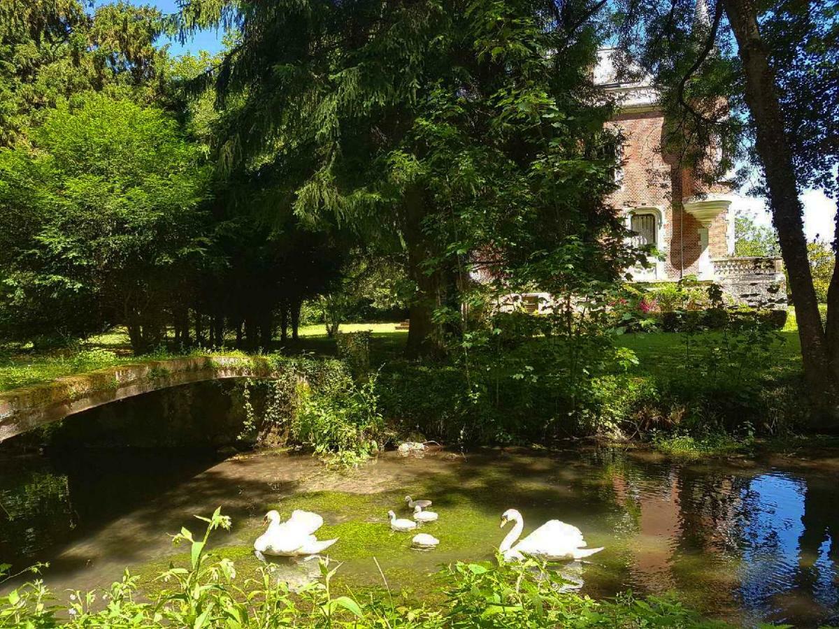 Chateau De Bonneau Suèvres Esterno foto