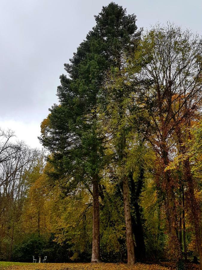 Chateau De Bonneau Suèvres Esterno foto